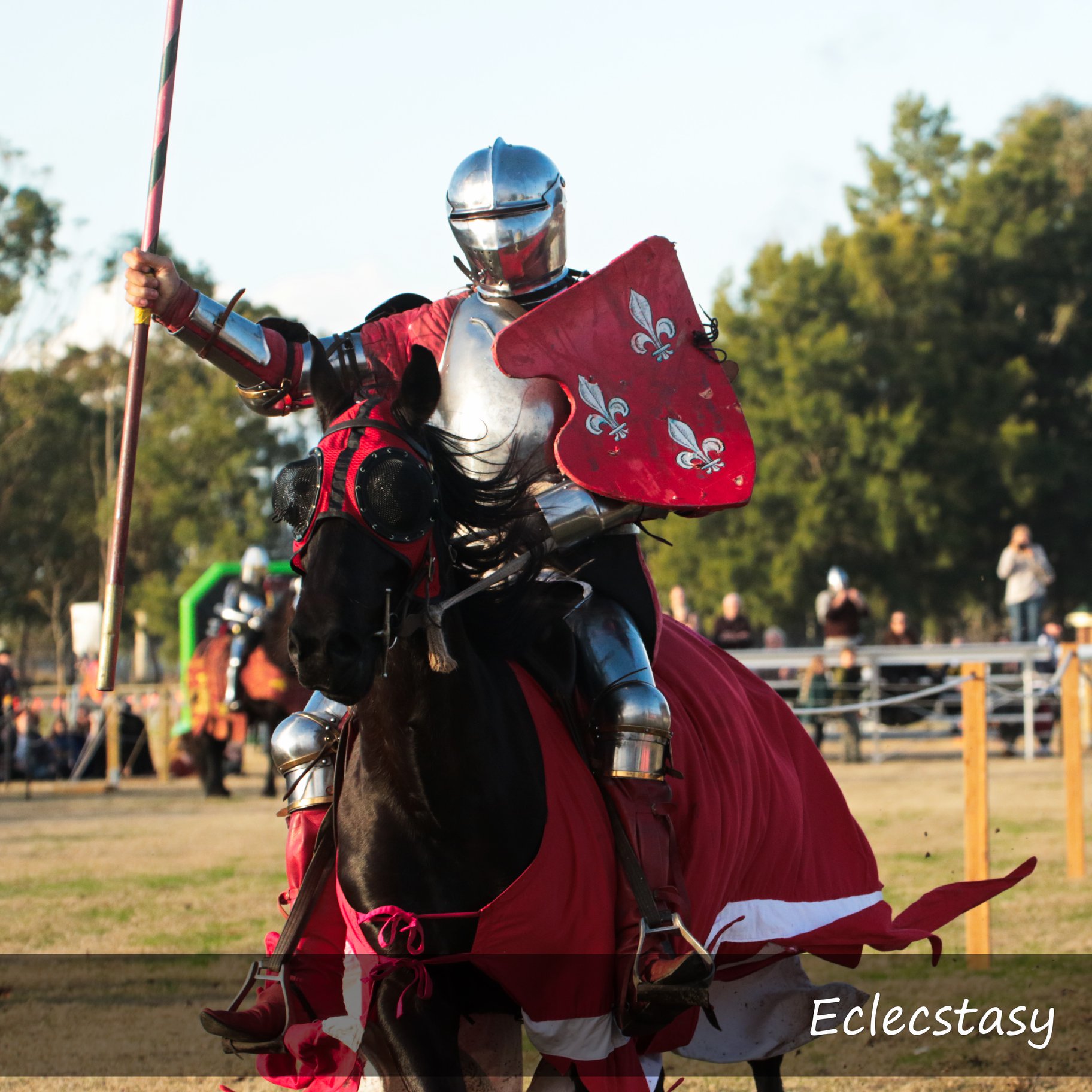 Jousting pic