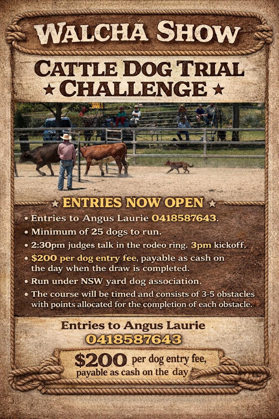 Cattle Dog Trial